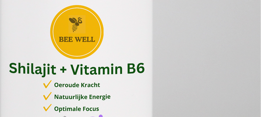 Bee Well Shilajit + Vitamin B6 - 60 Capsules
